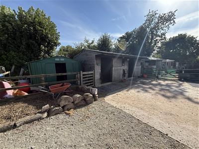 Picture 25